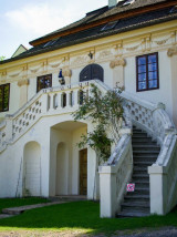 IMG_8337.jpg